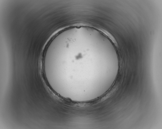 X0000111851000200908131435