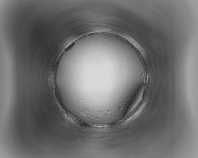 X0000111851001200908131435