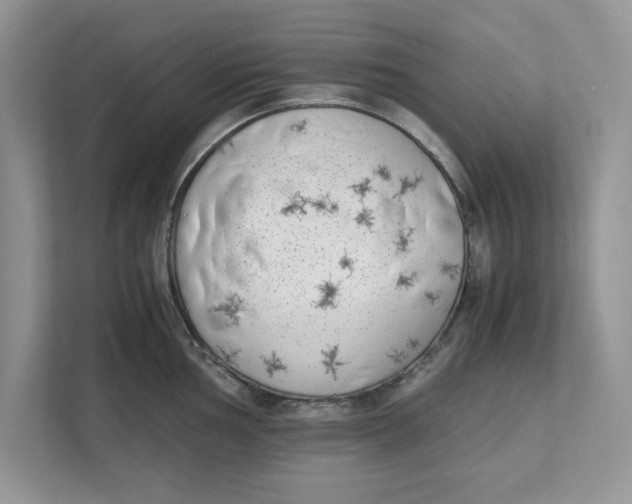 X0000111851002200908131435