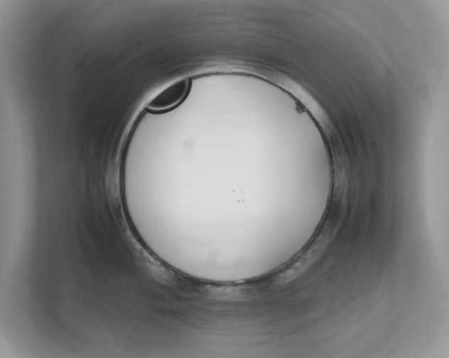 X0000111851004200908131435