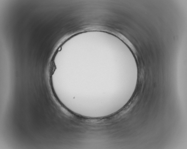 X0000111851005200908131435