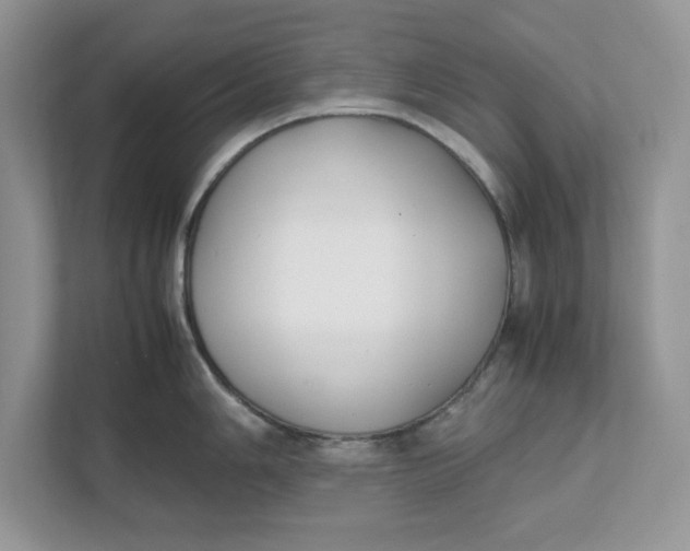 X0000111851006200908131435