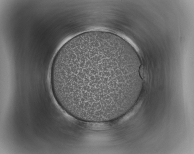 X0000111851007200908131435