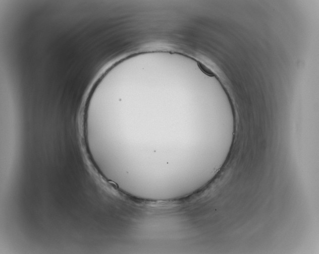 X0000111851008200908131435