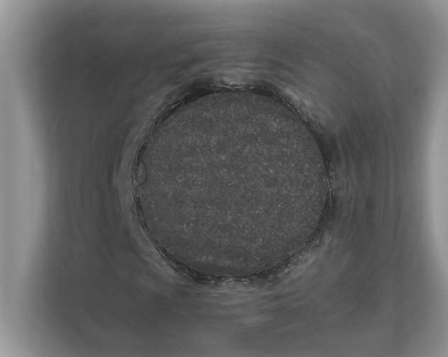 X0000111851009200908131434