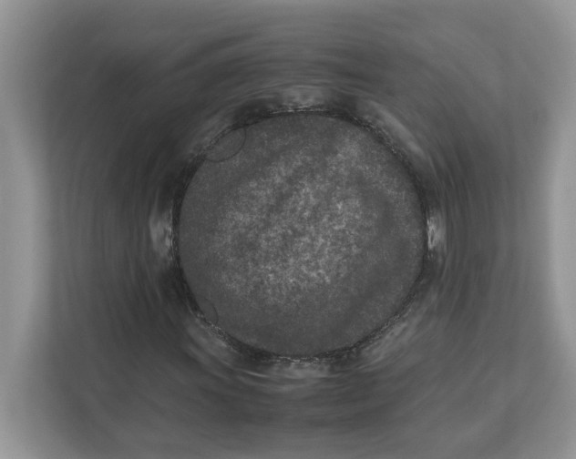 X0000111851011200908131434