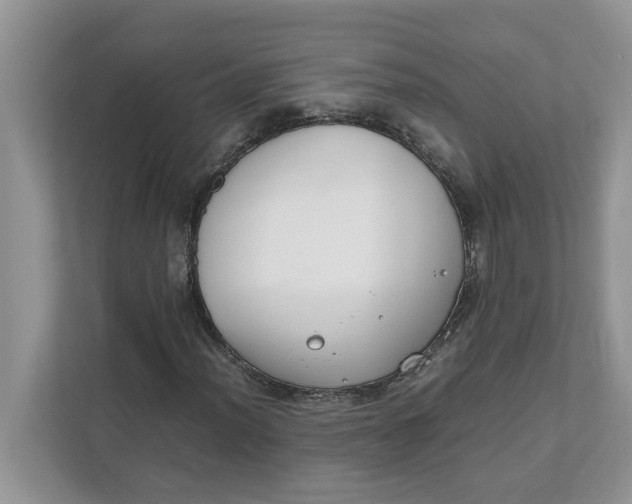 X0000111851012200908131434