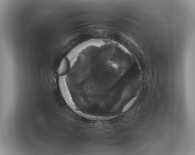 X0000111851013200908131434