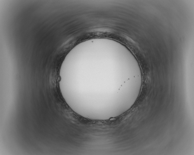 X0000111851014200908131434