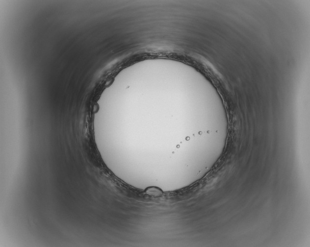 X0000111851016200908131434