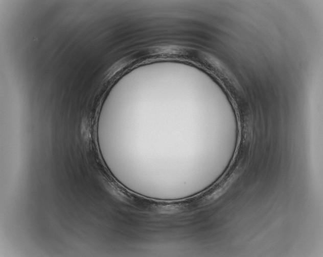 X0000111851017200908131434