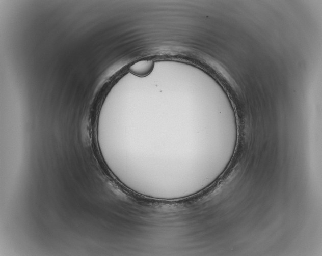 X0000111851018200908131434