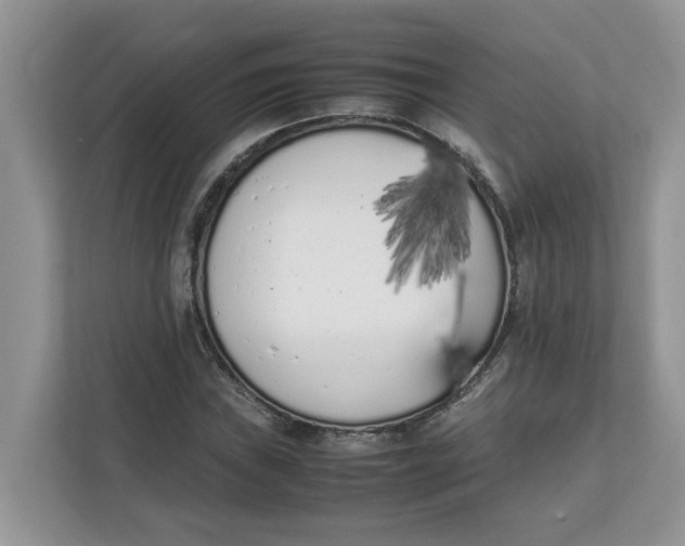 X0000111851019200908131434