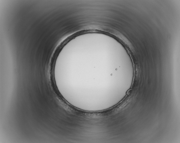 X0000111851020200908131434