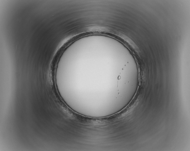 X0000111851022200908131435