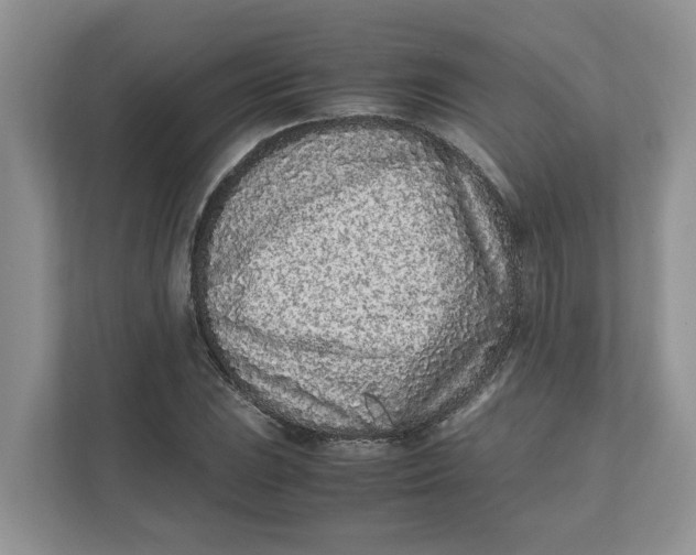 X0000111851023200908131435