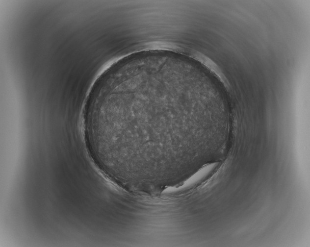 X0000111851024200908131435