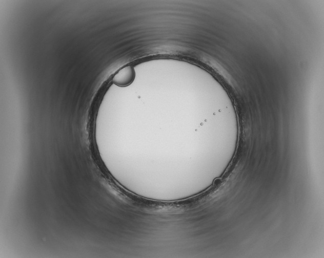 X0000111851026200908131435