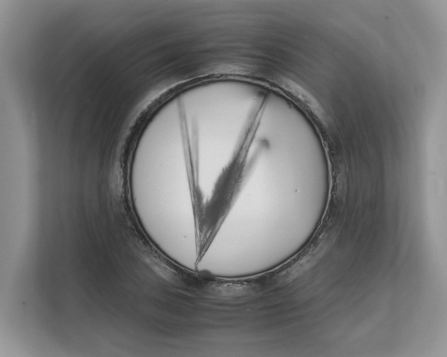 X0000111851027200908131435