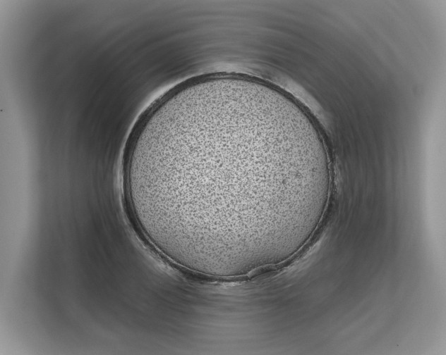 X0000111851028200908131435