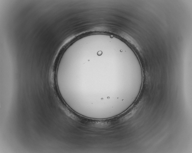 X0000111851029200908131435