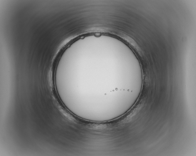 X0000111851030200908131435