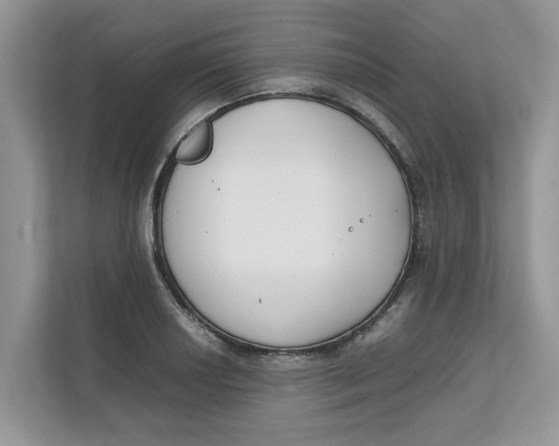 X0000111851034200908131435