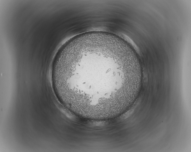 X0000111851035200908131435