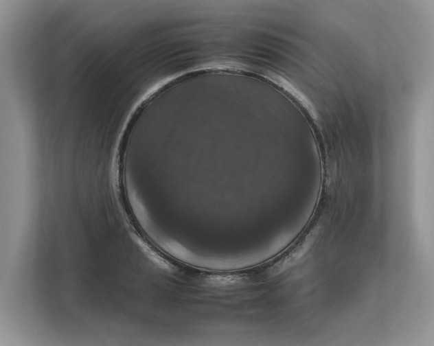 X0000111851037200908131435