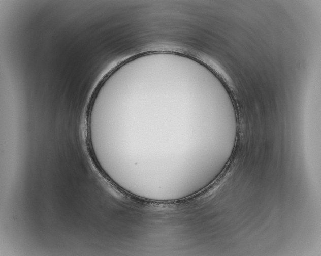 X0000111851040200908131435