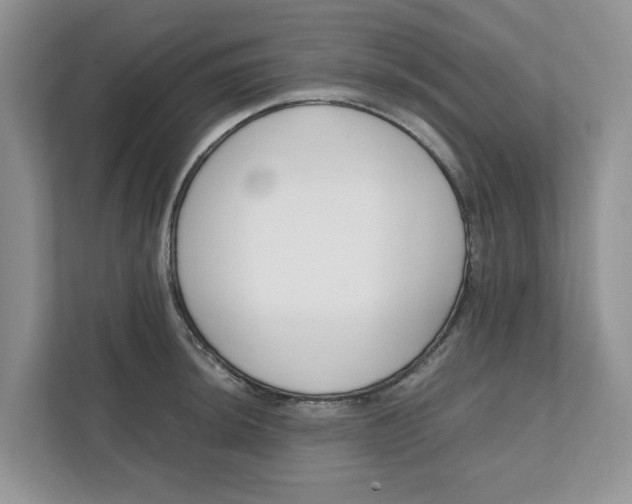 X0000111851044200908131435