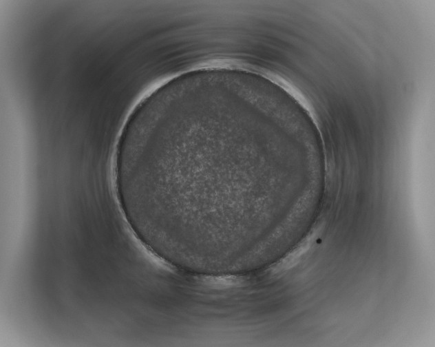 X0000111851045200908131435