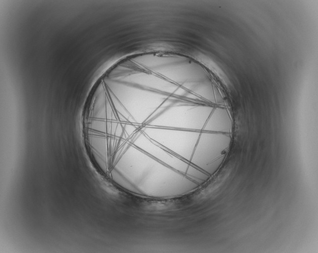 X0000111851047200908131435