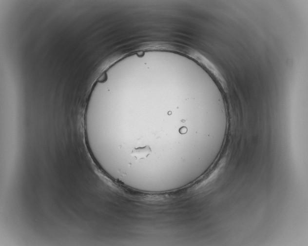 X0000111851049200908131435