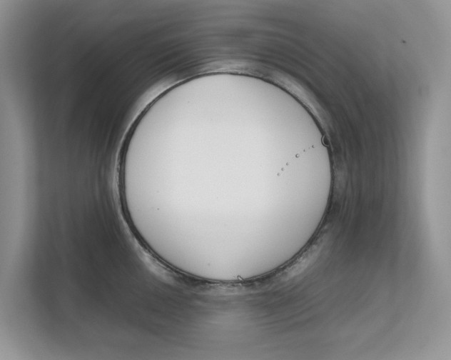 X0000111851050200908131435