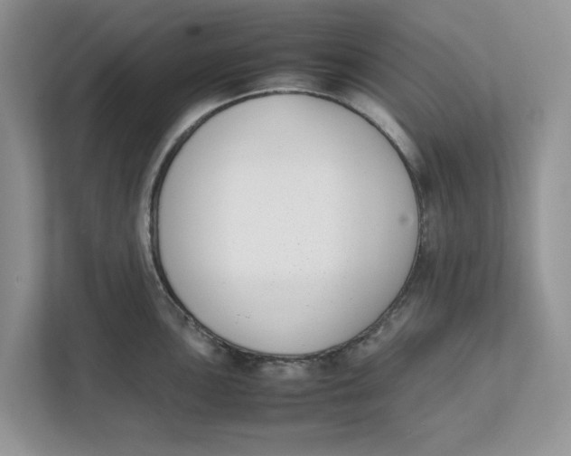 X0000111851051200908131435