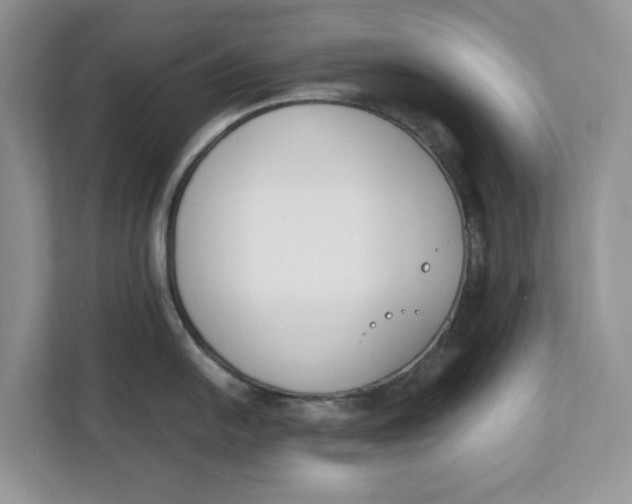 X0000111851054200908131435