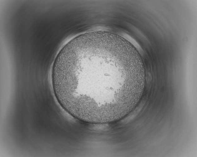 X0000111851055200908131435