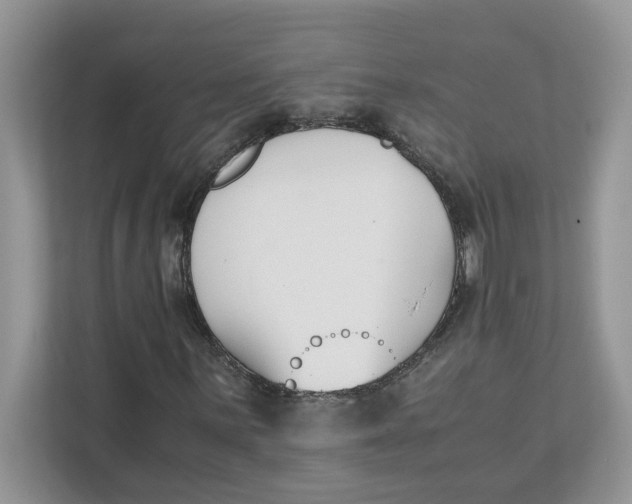 X0000111851059200908131434