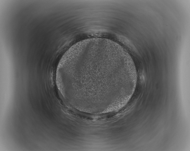 X0000111851060200908131434