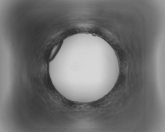 X0000111851061200908131434