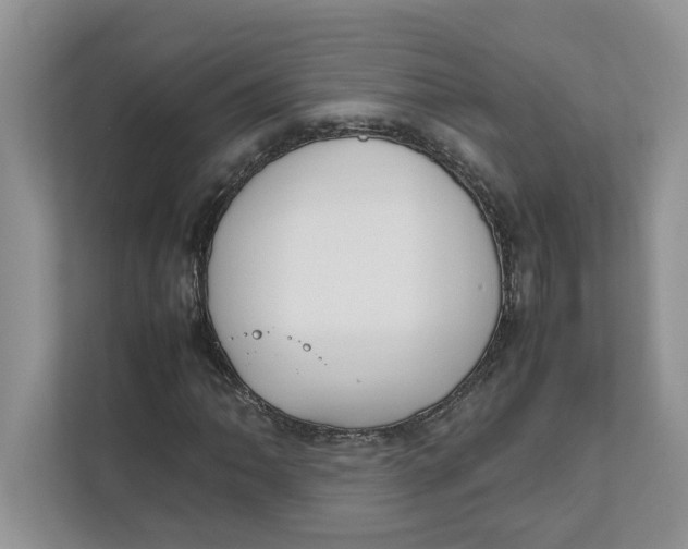 X0000111851062200908131434