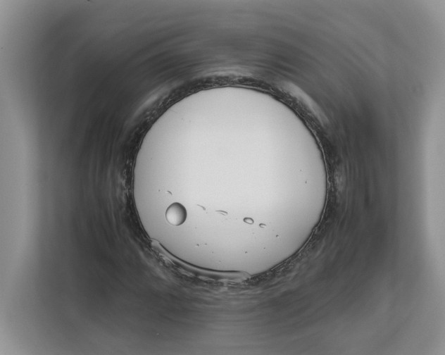 X0000111851064200908131434