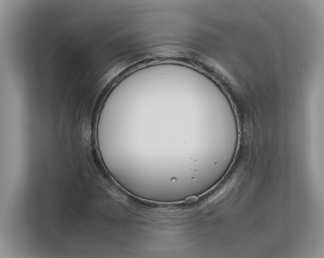 X0000111851065200908131434