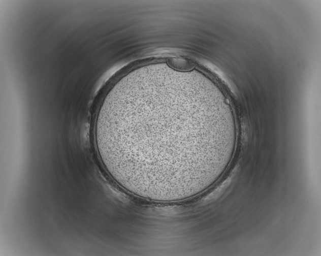 X0000111851066200908131434