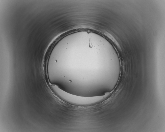 X0000111851068200908131434