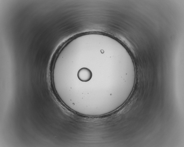 X0000111851072200908131434