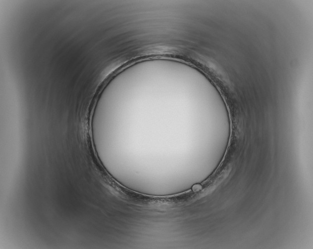 X0000111851073200908131434