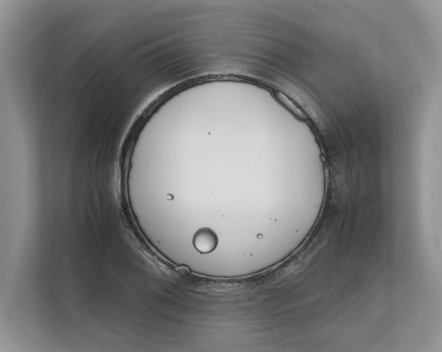 X0000111851076200908131434