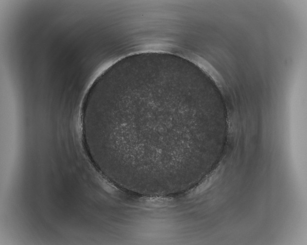 X0000111851077200908131434